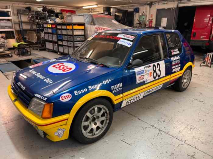 Peugeot 205 GTI 1.9L GR.A Italtecnica 1