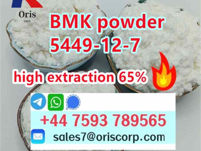 bmk powder 5449-12-7 with high extraction 65% 3