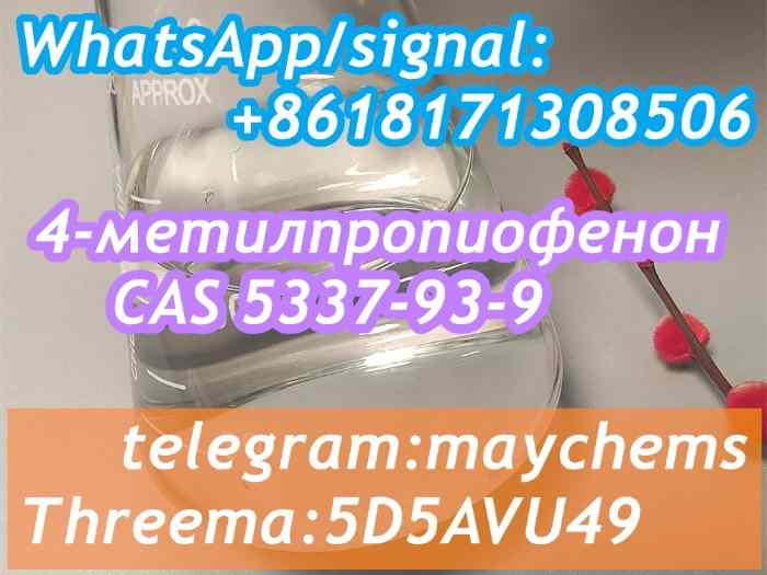 5337 93 9 with Fast Safe Delivery 4