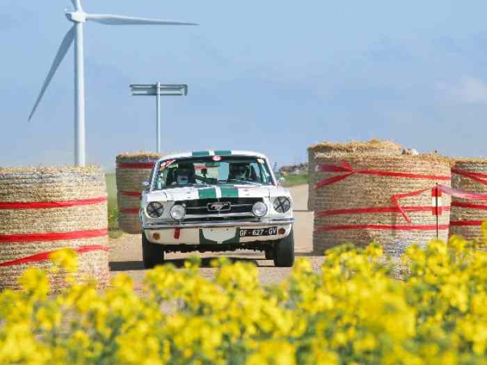 Copi pour Tour de Corse historique 2024 1