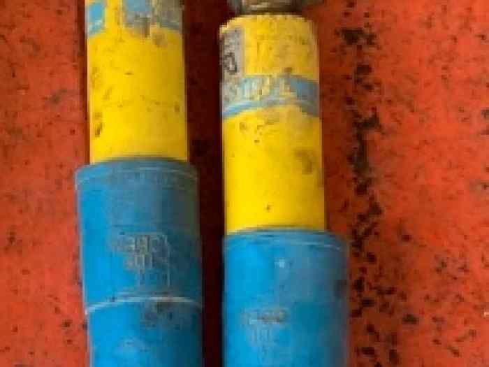 amortisseur arrière bilstein DA competition 106 saxo ax