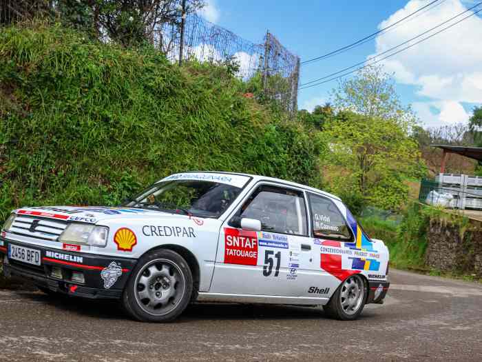 Peugeot 309 Gti 16v 3