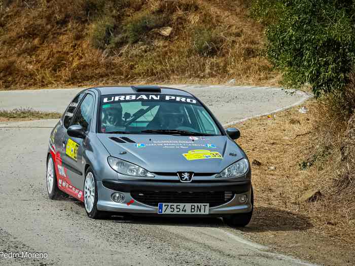 Peugeot 206 tipo desafío 0