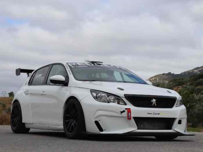 Peugeot 308 Racing Cup 0