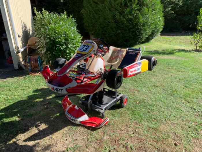 125 kz Birel Art 0