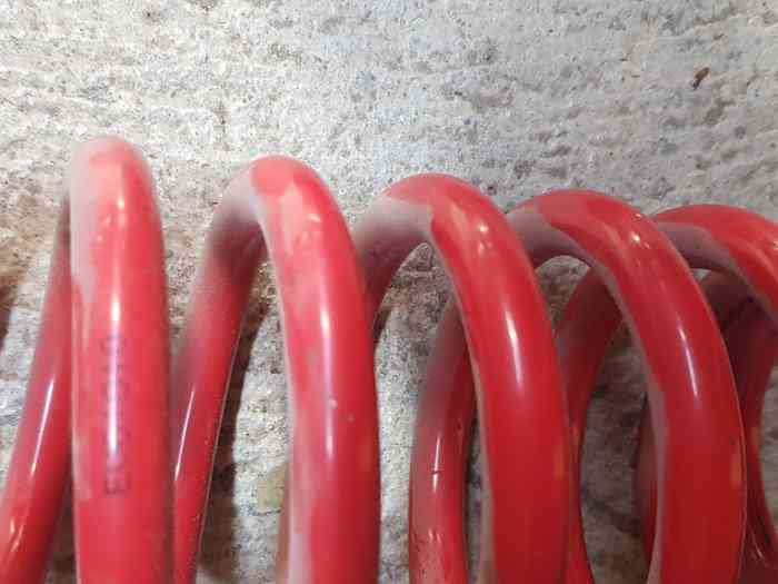 Ressorts cyl6 175mm BMW e307
