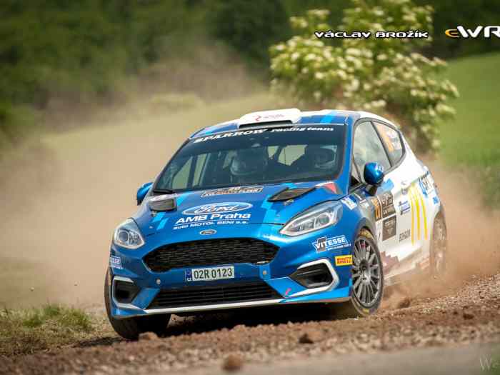 Ford Fiesta Rally4