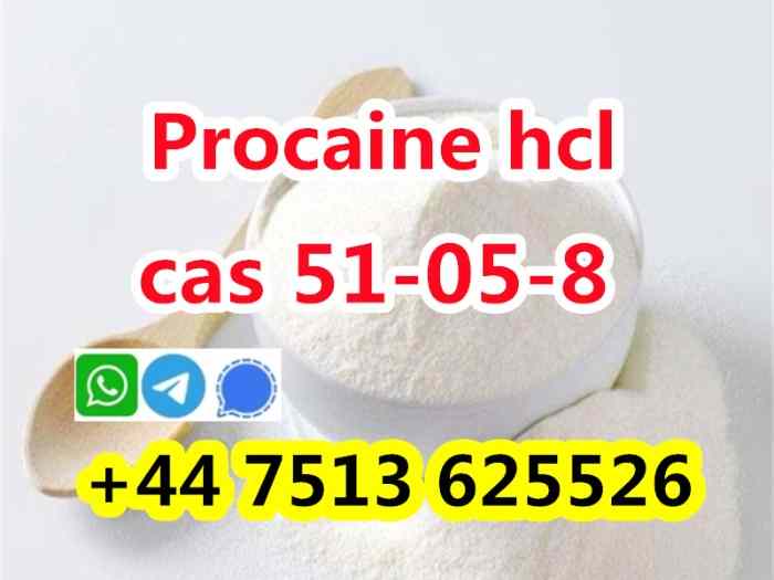 51-05-8 Pro caine Hcl Pro caine global ship 0