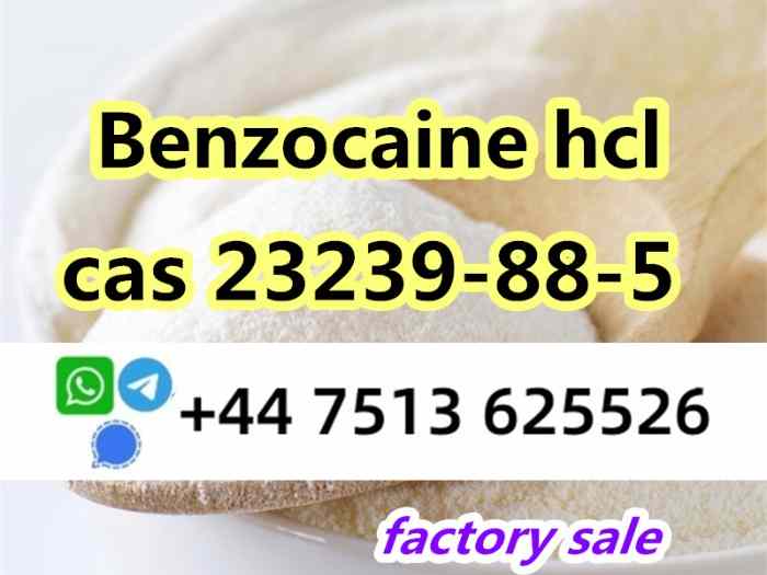 23239-88-5 Benzo caine hcl factory direct supply 2