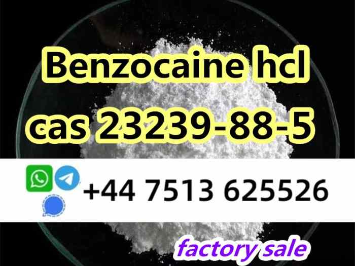 23239-88-5 Benzo caine hcl factory direct supply 5