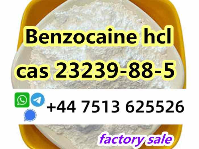 23239-88-5 Benzo caine hcl factory direct supply 0