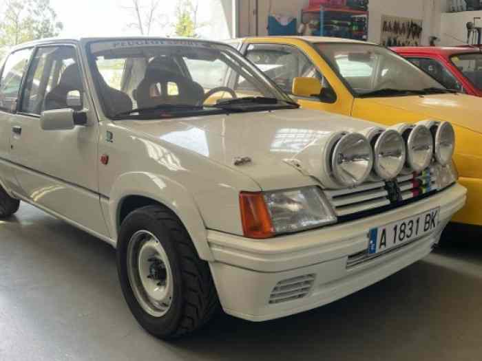 205 rallye Gr.N