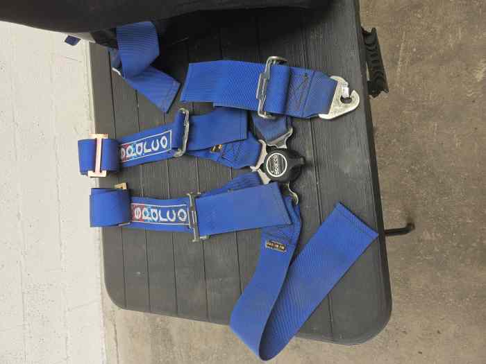 Harnais Planche à Voile 2 Pièces – Longueur Réglable 71-86 Cm – Polyuréthane Robuste – Antidérapant