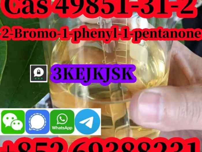 2-Bromo-1-phényl-1-pentanone Cas 49851-31-2 Fabricant chinois de la meilleure qualité 5