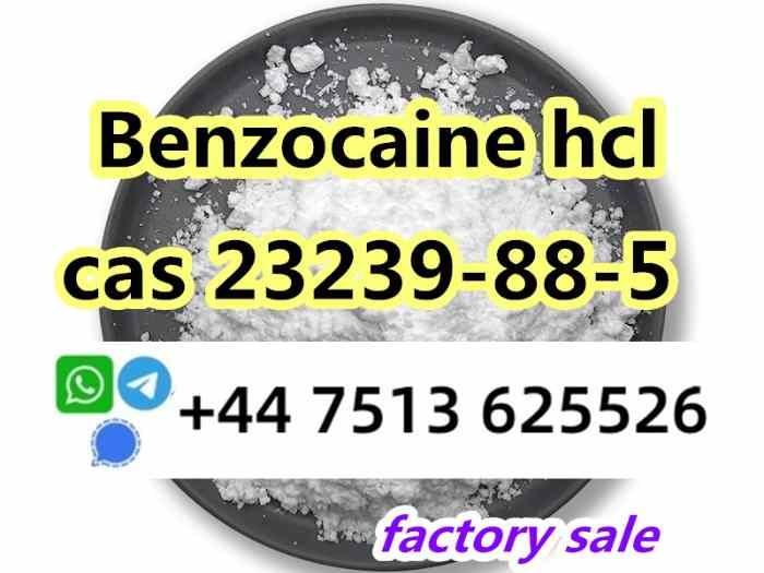 23239-88-5 Benzo caine hcl factory direct supply 1