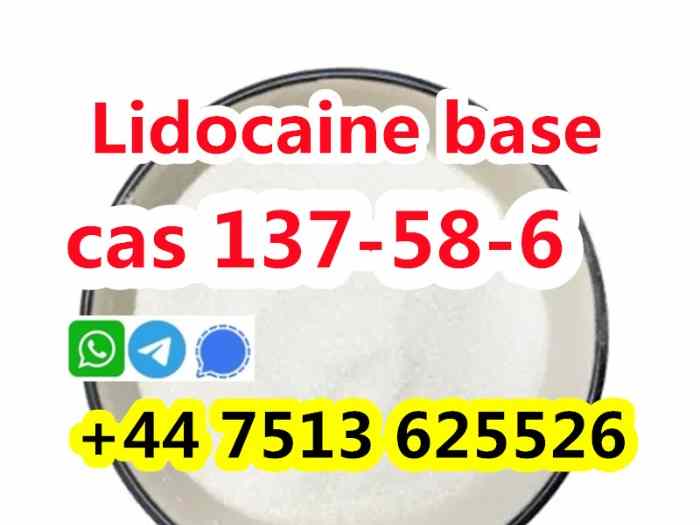 137-58-6 Lido caine to europe safety 1