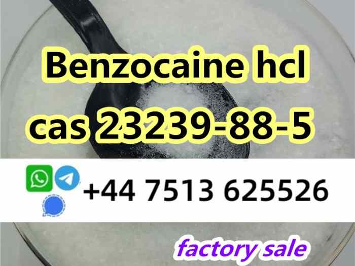 23239-88-5 Benzo caine hcl factory direct supply 4