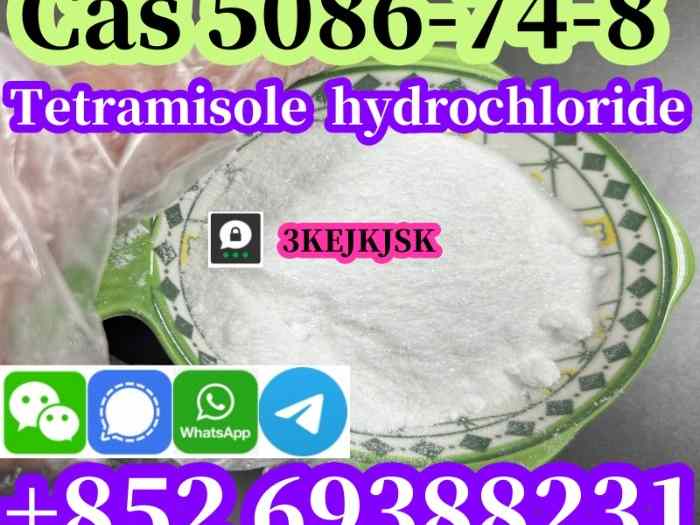 Poudre de chlorhydrate de tétramisole de qualité garantie Cas 5086-74-8 meilleur service 2
