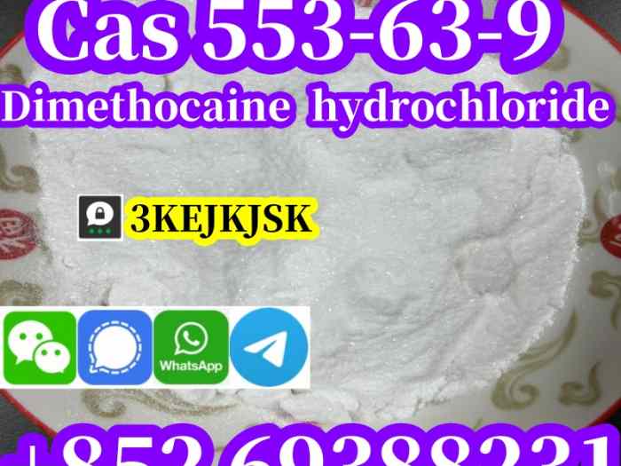 Chlorhydrate de diméthocaïne de meilleure qualité Cas 553-63-9 livraison en toute sécurité 4