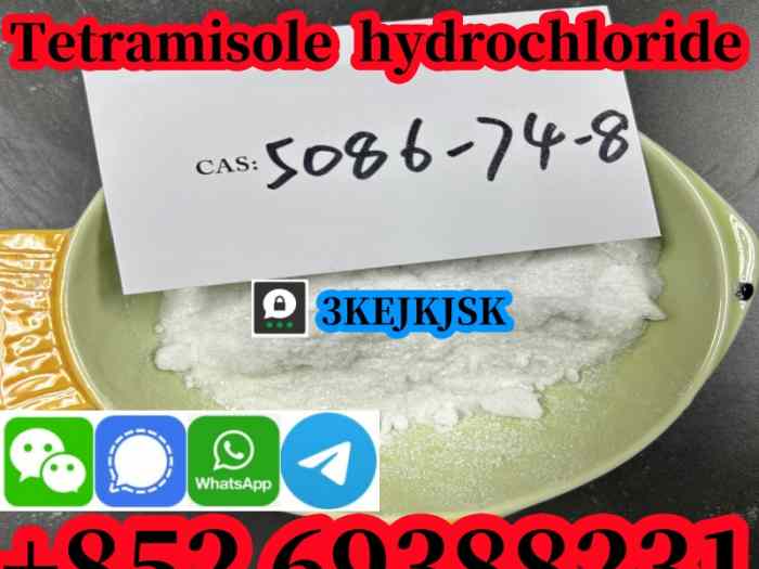 Poudre de chlorhydrate de tétramisole de qualité garantie Cas 5086-74-8 meilleur service 5