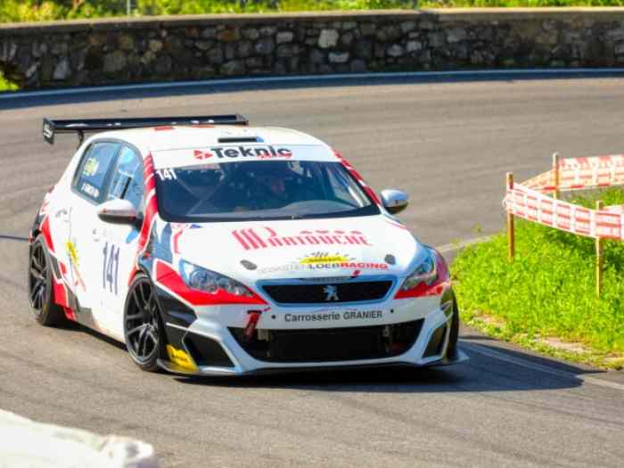 308 Racing CUP 2