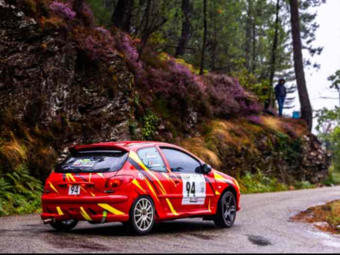 Peugeot 206 RC A7 0
