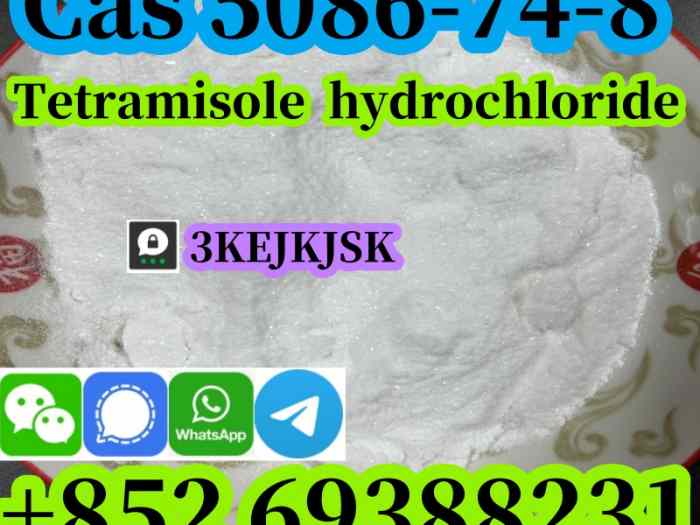 Poudre de chlorhydrate de tétramisole de qualité garantie Cas 5086-74-8 meilleur service 1