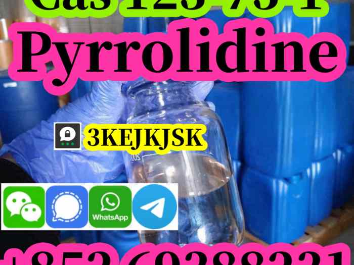 Fabricant chinois de pyrrolidine Cas 123-75-1, qualité garantie 2