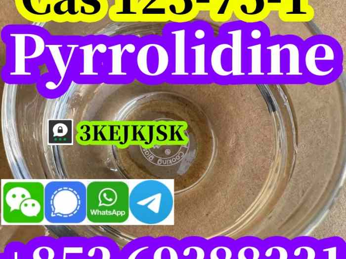 Fabricant chinois de pyrrolidine Cas 123-75-1, qualité garantie 4
