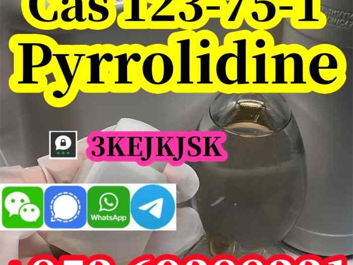 Fabricant chinois de pyrrolidine Cas 123-75-1, qualité garantie 1