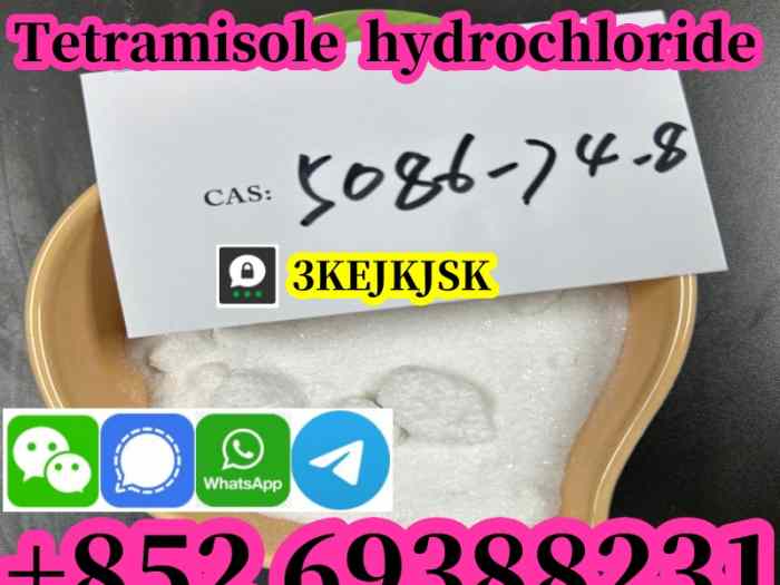 Poudre de chlorhydrate de tétramisole de qualité garantie Cas 5086-74-8 meilleur service 3