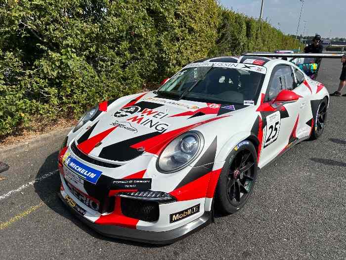 Porsche 991.1 CUP 2015 2