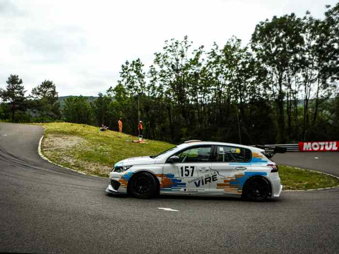 Peugeot 308 cup