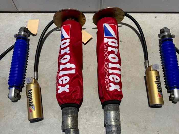 Amortisseurs Proflex Peugeot 306, Citr...