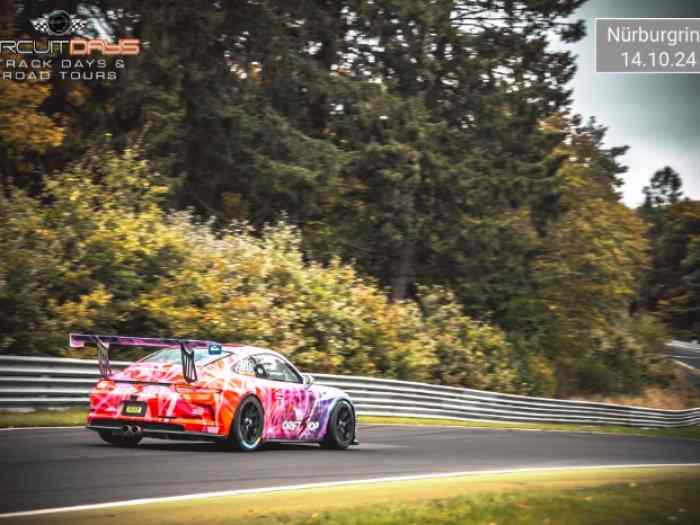 Porsche 991.1 GT3 Cup (2016) - Révisée, Prête à Rouler 1