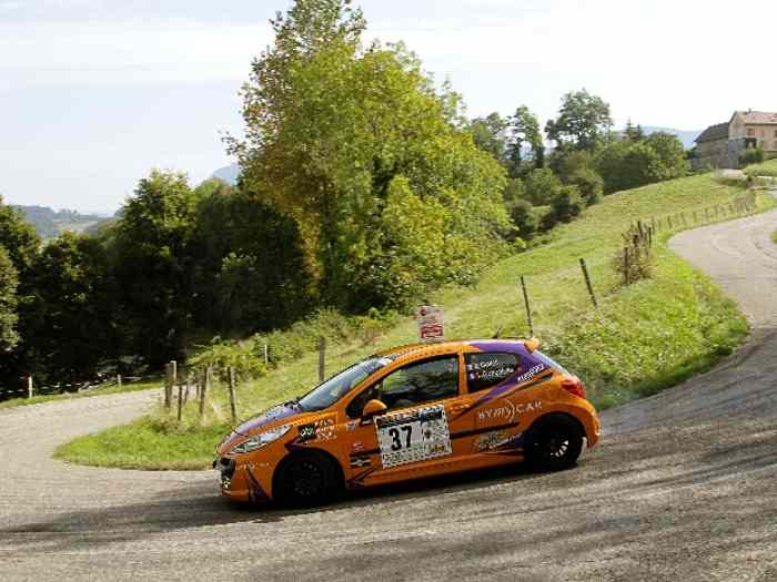 Peugeot 207rc a8 3
