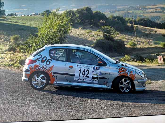 VDS PEUGEOT 206 N2S 1