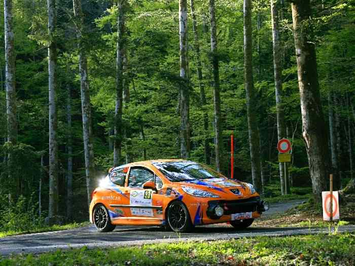 Peugeot 207rc a8