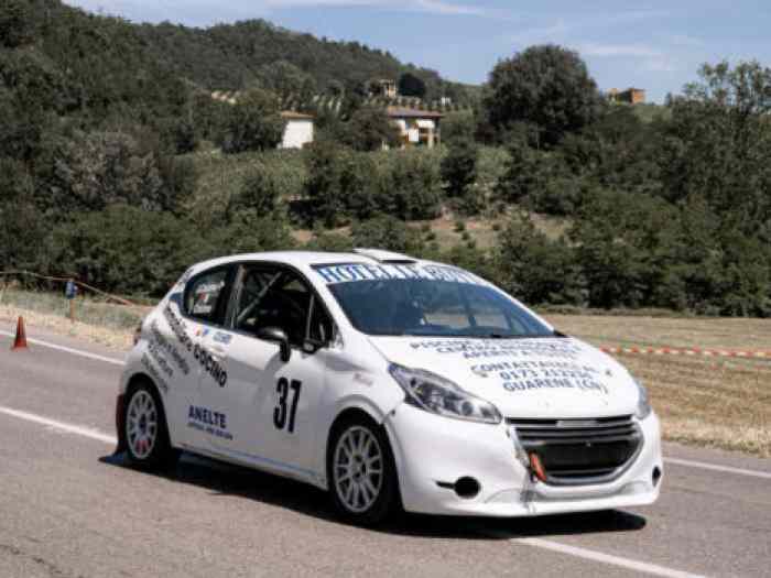 Peugeot 208 R2B 1