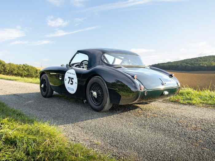 Austin Healey 100 BN2 FIA - PTH valide jusqu 1