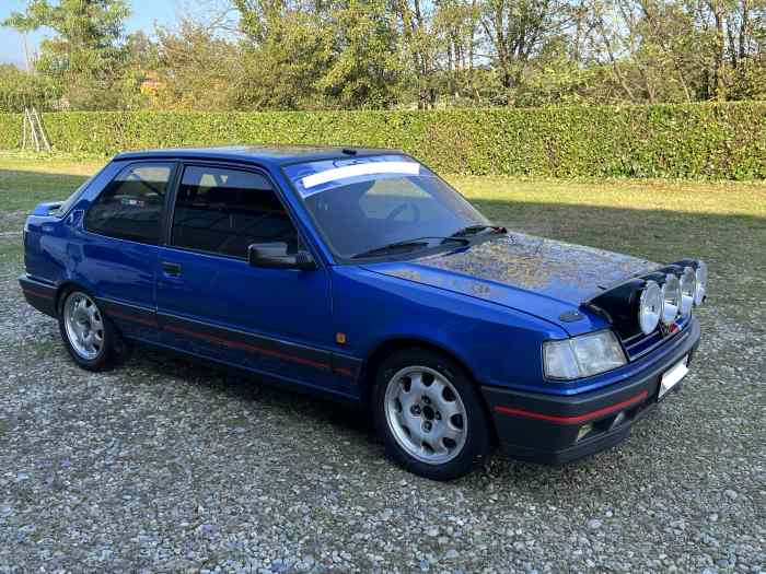 Peugeot 309 GTI 16 V - GR N 1