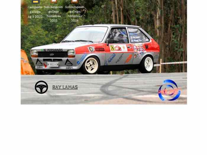 Ford fiesta mk1 clásico 1981