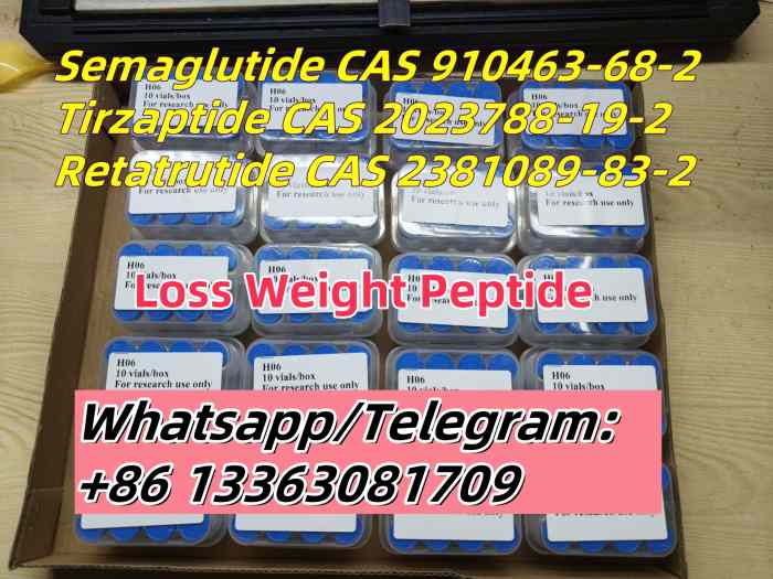 Semaglutide CAS 910463-68-2 GLP-1 AR Weight loss peptide Liraglutide Tirzepatide 0