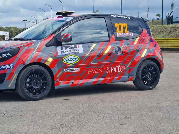 Lot de pièces Twingo RS/R1