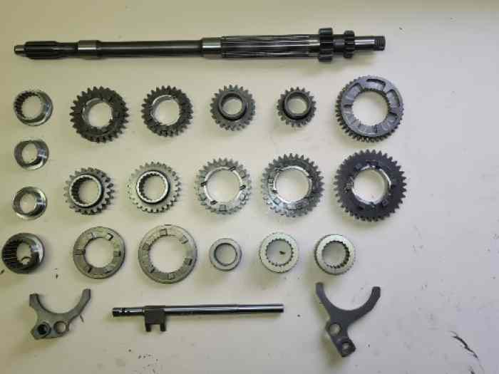 BOITE ZF 5DS/2 GT40 PANTERA 1