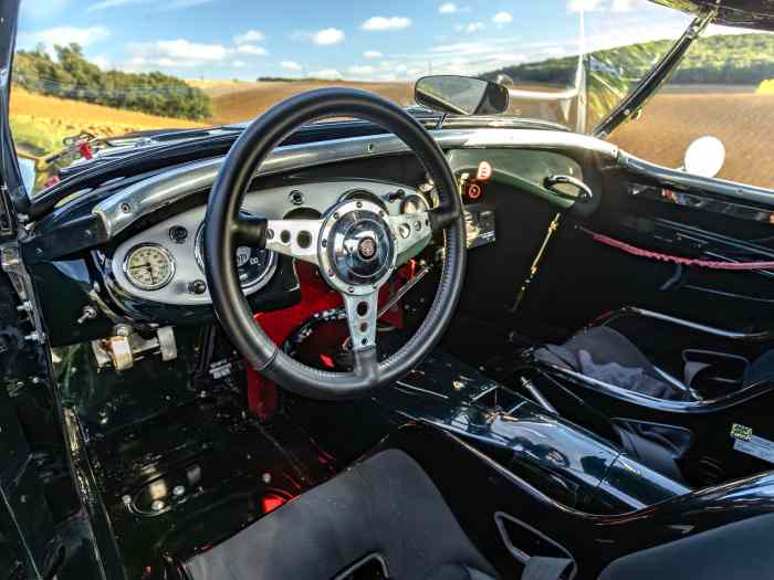 Austin Healey 100 BN2 FIA - PTH valide jusqu 3