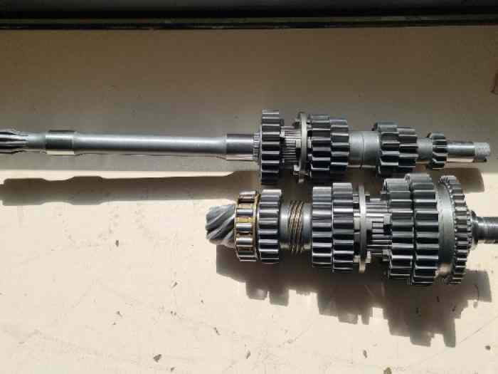 BOITE ZF 5DS/2 GT40 PANTERA 5