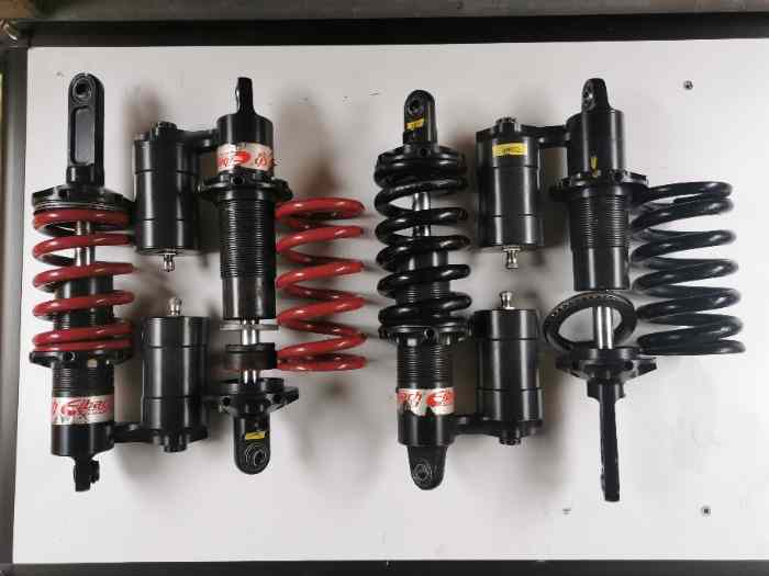 Amortisseurs Eibach Formule Ford