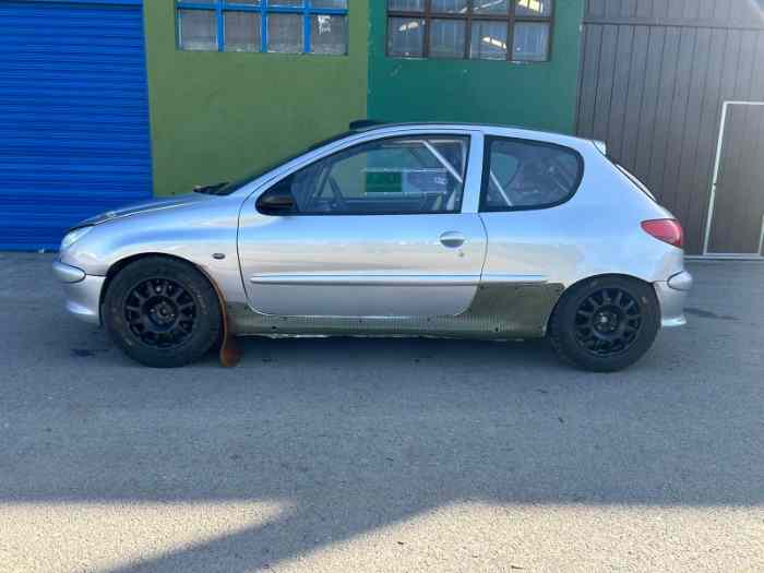 Peugeot 206 gr a de Terre/Asphalte 1
