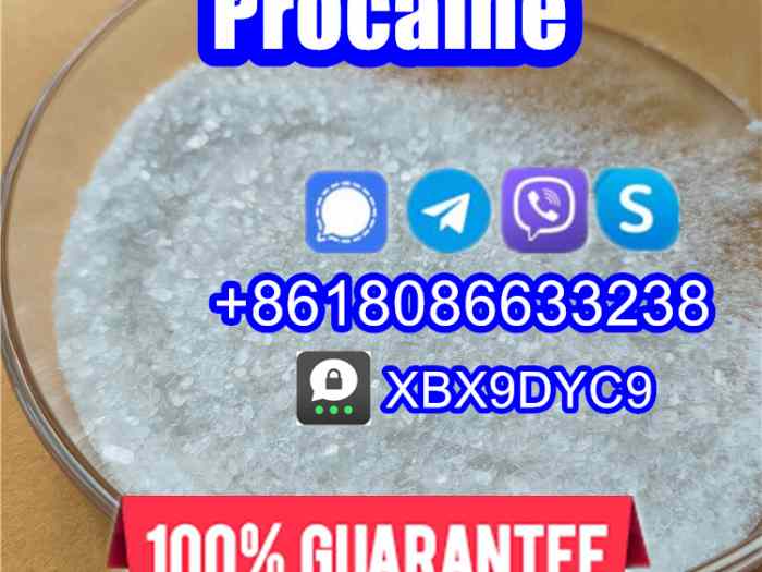 51-05-8/59-46-1/procaine hcl/procaine base 4